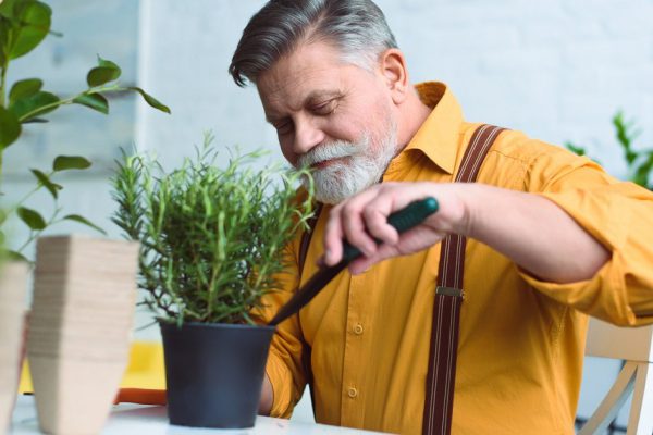 Советы бывалого дачника по выращиванию рассады