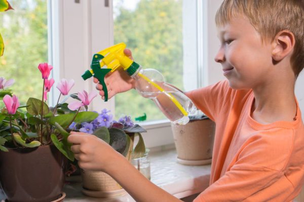 Young boy sprays plants in flowerpots by window. Selective focus.