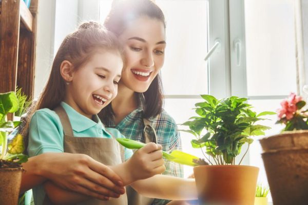 Как цветущий декабрист влияет на атмосферу в доме