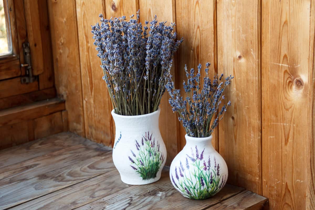 кот ест цветы