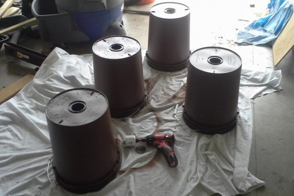 Этот человек повесил растения вверх тормашками! Сумасшедший? Но приглядись внимательнее…