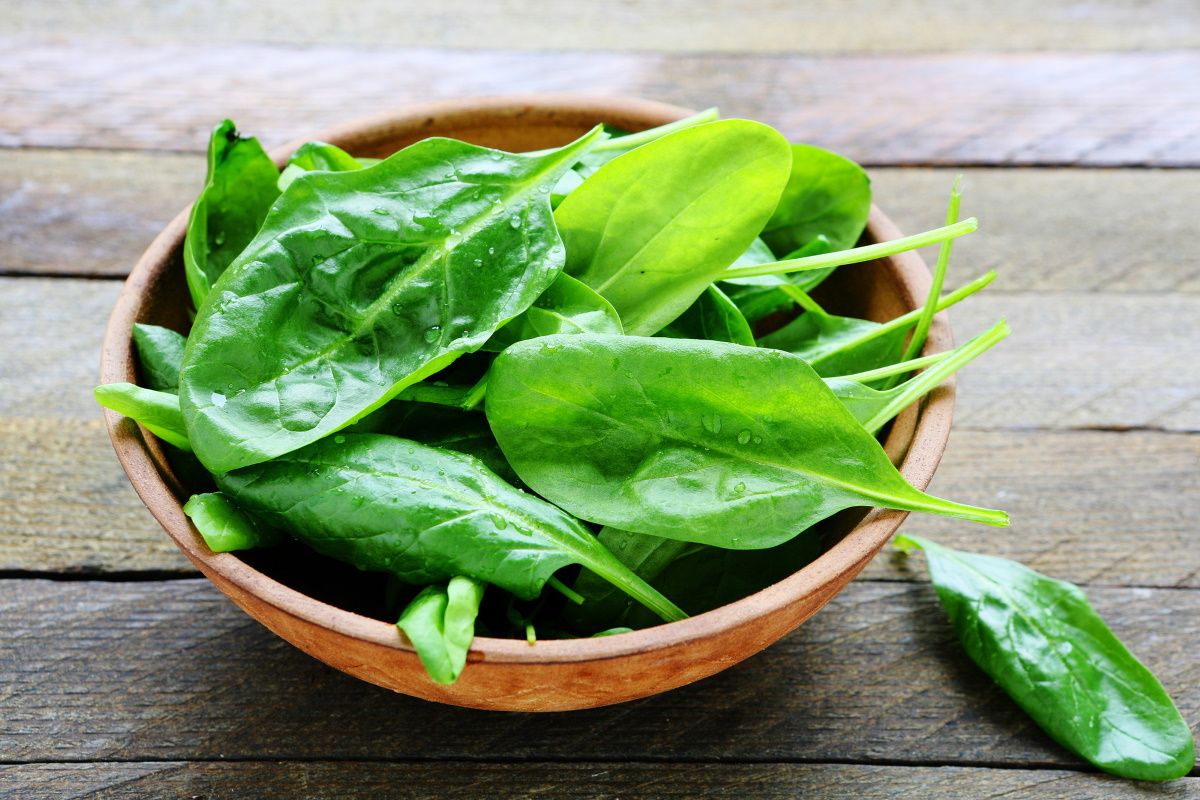 растения на подоконнике