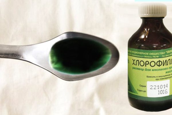 «Хлорофиллипт»: цена вопроса — копейки! 15 проверенных временем рецептов.