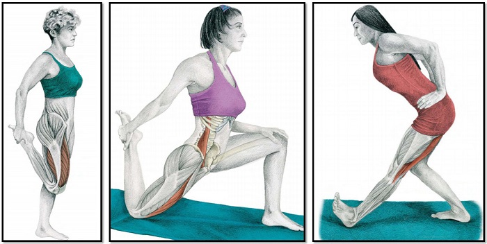 растяжка мышц