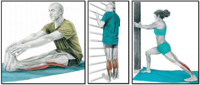 растяжка мышц