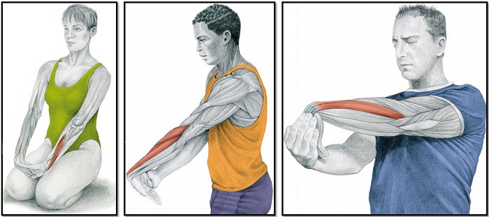 растяжка мышц