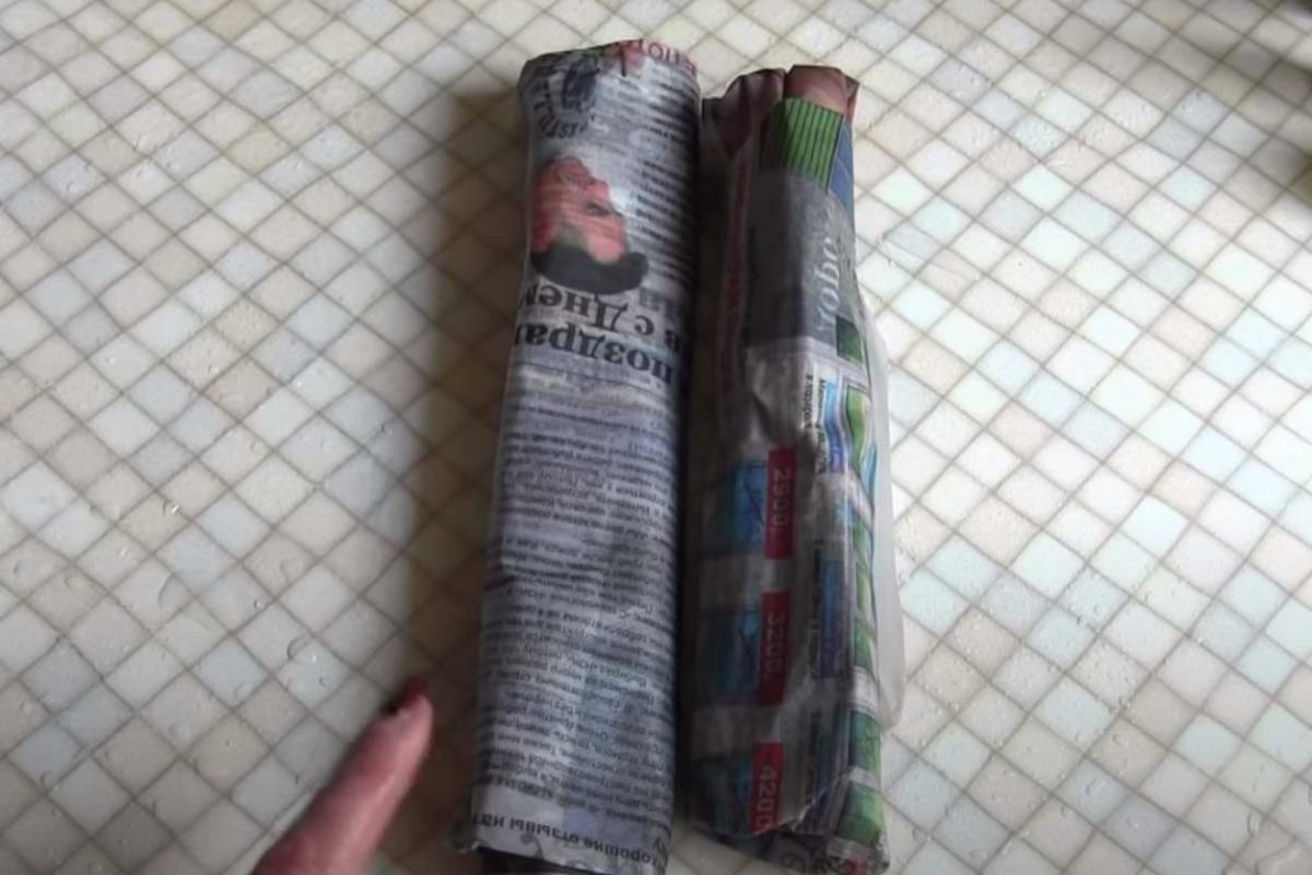 размножение роз черенками