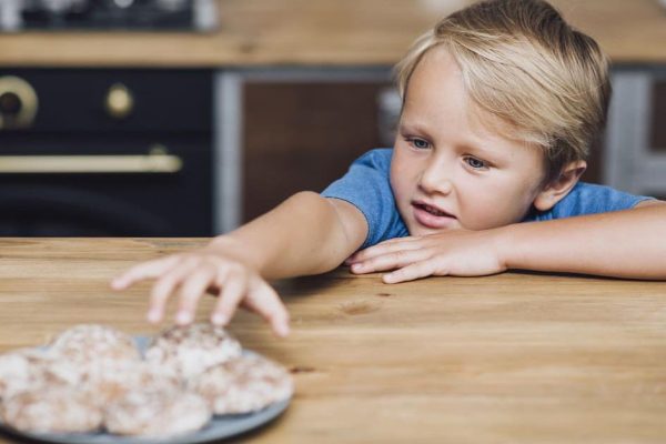 Купила продукты для праздника и положила их в холодильник, но к утру половина пропала, у меня даже есть подозреваемый