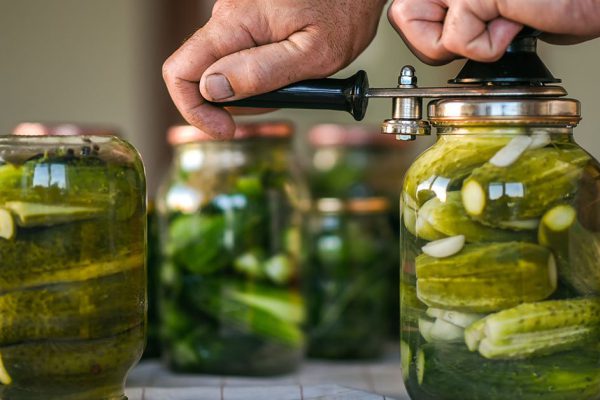 The process of closing salted cucumbers, preparation for the winter period