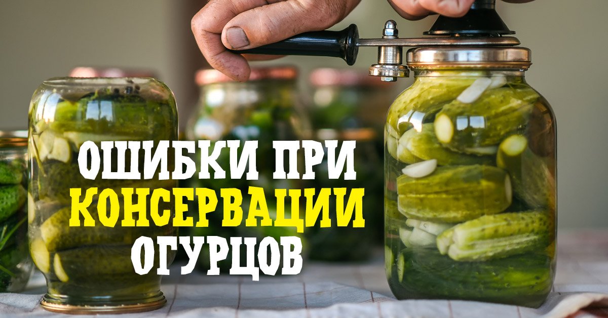 Зачем кипит антифриз