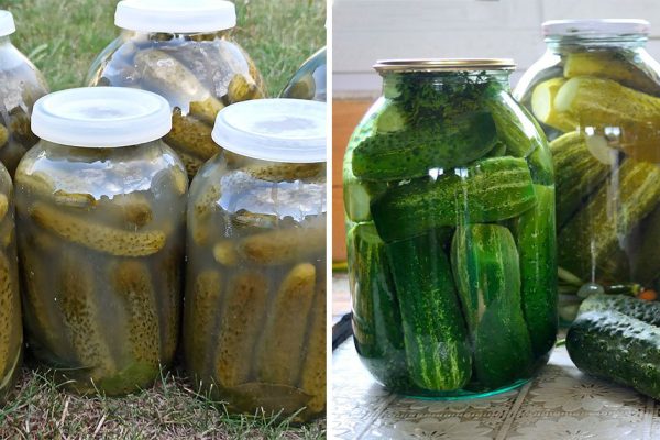 В квашеные огурчики всегда добавляю листья малины, огурцы не перекисают и не покрываются плесенью