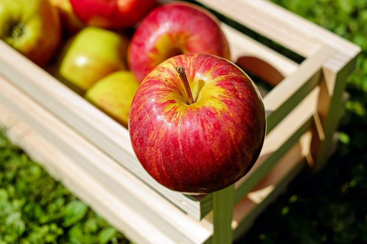 рецепт квашеных яблок