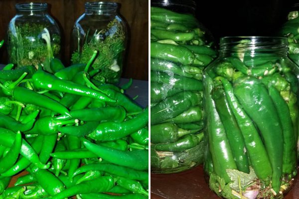 Без маринованного перца чили теперь за стол не садимся