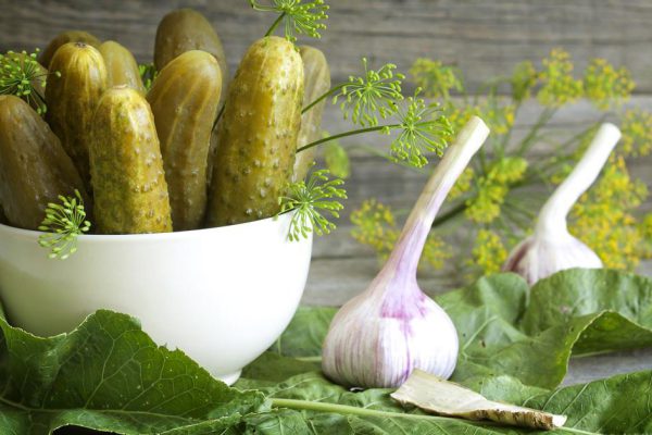 Рецепт маринованных огурцов с красной смородиной