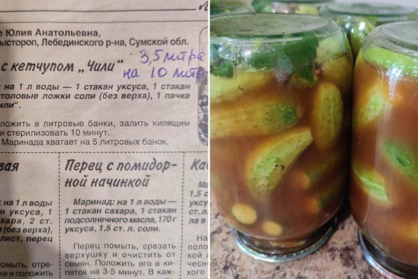 Свекровь вручила мне свой фирменный рецепт огурцов, как только я стала ее невесткой, готовлю так по сей день