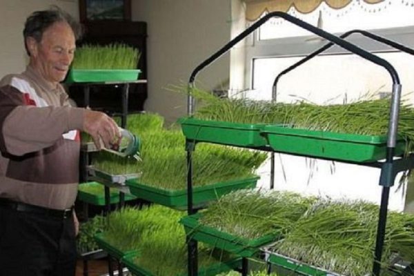 Жить 100 лет без болезней — возможно! Это средство предотвращает рак и другие серьезные заболевания.