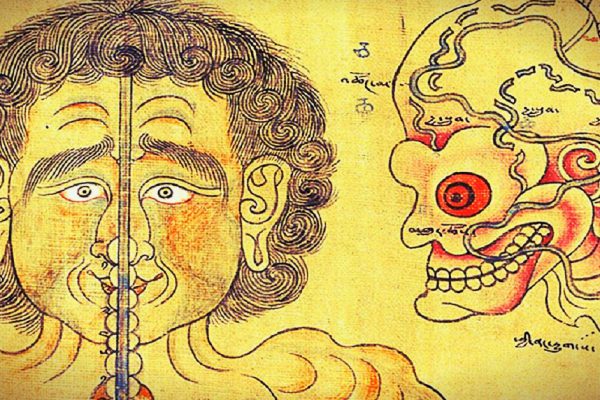 Очищение крови по рецептам тибетских лам. Секрет долголетия раскрыт!