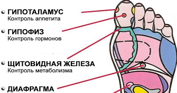 Активные точки на спине человека в картинках