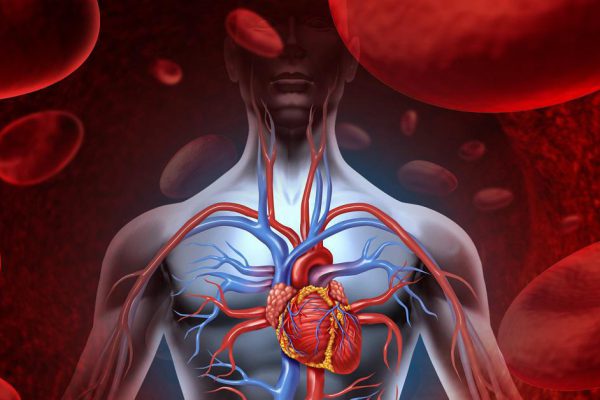 Опусти ладони в ледяную воду на 30 секунд и узнай, как работает твоя кровеносная система