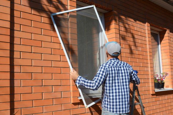Mosquito wire screen installation. Contractor installing mosquito wire screen on house window to protect from insects.