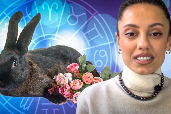 Дающий силу прогноз Ренаты Раевской на 2023 год для всех знаков зодиака