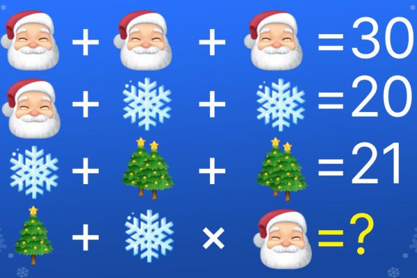 Новогодний пример для тех, у кого проблемы со сдачей в магазине