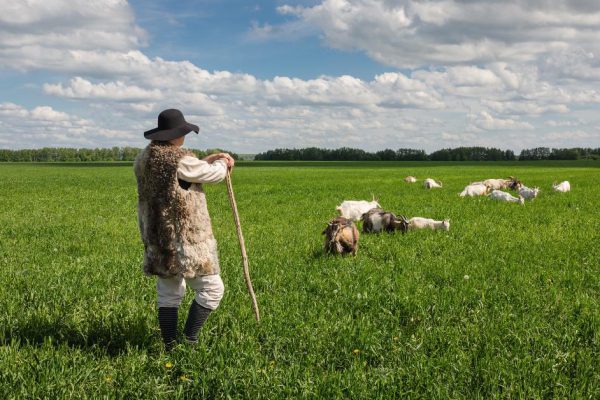 В каком тоне нужно отвечать на резкие высказывания