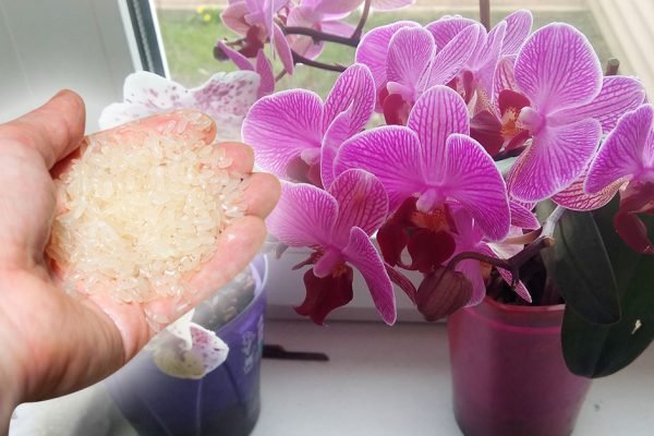 Ты легкомысленно выливаешь в раковину этот чудодейственный раствор, но я поступаю иначе, сейчас покажу