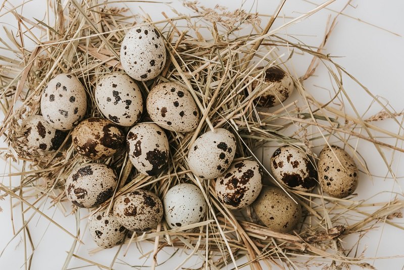 Что приготовить из перепелиных яиц Вдохновение,Кулинария,Котлеты,Рис,Яйца