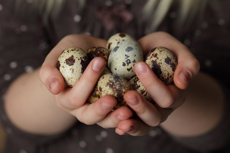 Что приготовить из перепелиных яиц Вдохновение,Кулинария,Котлеты,Рис,Яйца