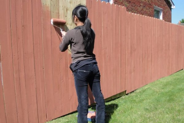 Приехала к бабушке на дачу и глазам не поверила… Красота, которую не описать словами!