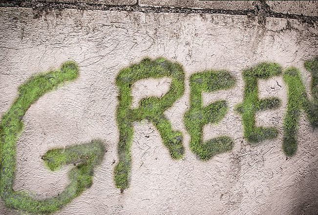 приготовление мха для граффити