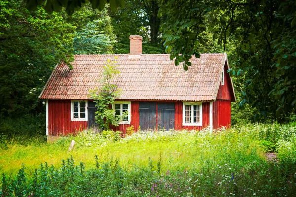 Несколько лет дом в селе стоял заброшенный, дети не хотели им заниматься, но когда я наняла соседа, чтобы навел там порядок, они разозлились