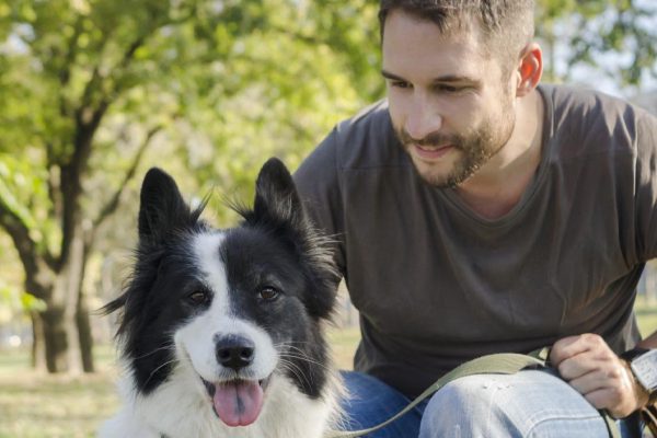 Почему стоит завести собаку, если жена предала и ушла