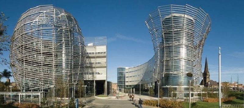 масло розмарина улучшает память