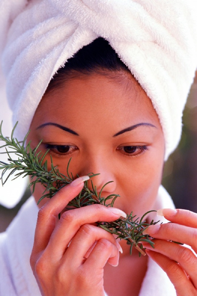 розмарин что за трава