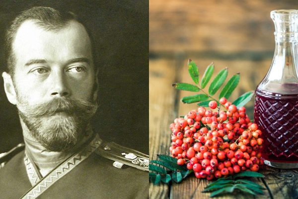 Как приготовить рябиновую настойку