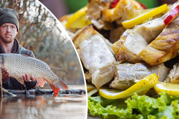 Когда отпускаю мужа на ночную рыбалку, он всегда возвращается с уловом, покажу лучшее блюдо из свежей рыбки