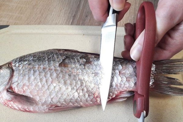 Прошаренная жена рыбака показала, как чистит непослушную рыбу без брызг и мороки