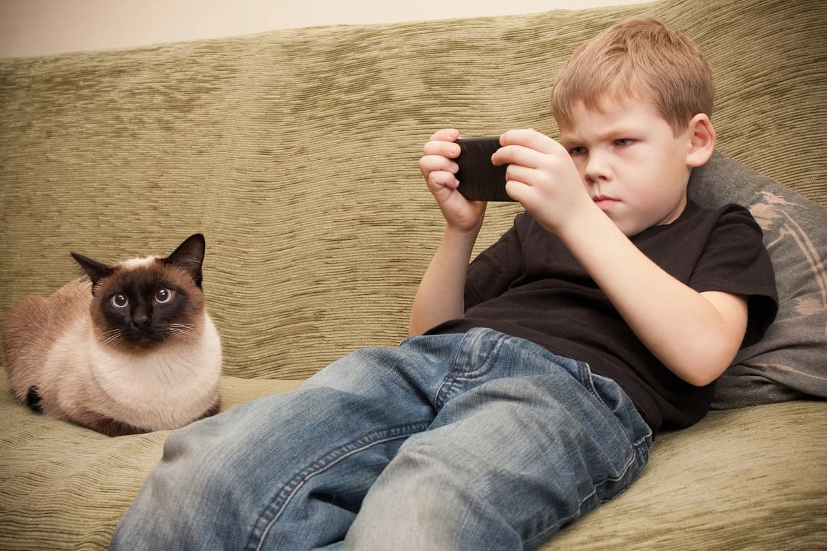 генерация альфа