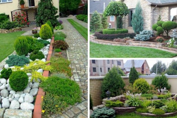 Идеи сада для ленивых (можно не ухаживать)