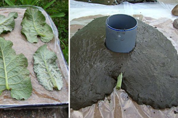 Зачем заливать лопухи цементом