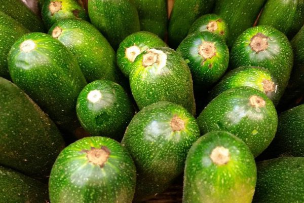 Какое эффектное ресторанное блюдо я готовлю из обычных кабачков