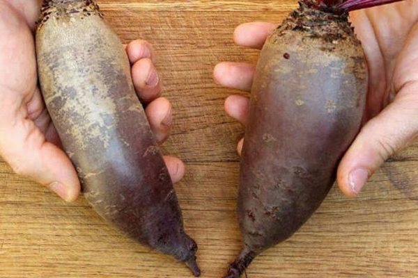 Салат с поджаренной свеклой, от второй тарелки которого не откажется никто