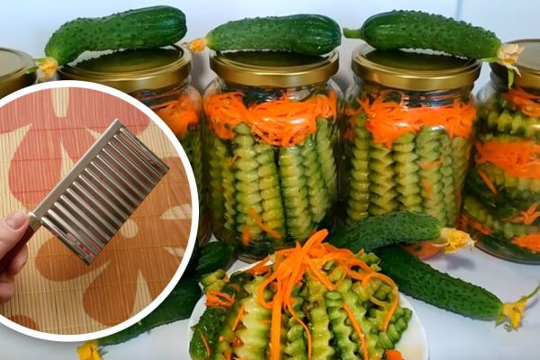 Как приготовить салат из огурцов и моркови на зиму