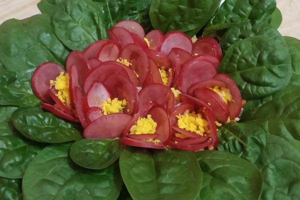 Замачиваю редис в соке свеклы, хитро готовлю салат «Фиалка» с шедевральной подачей