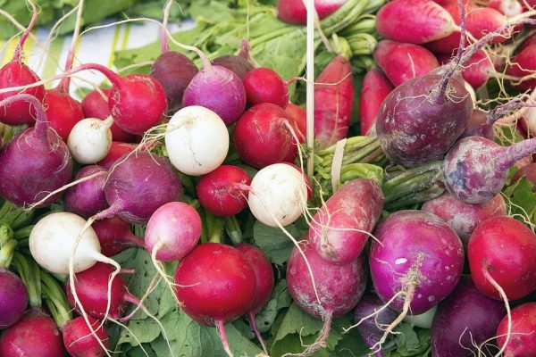 Как выбрать хорошую редиску на рынке