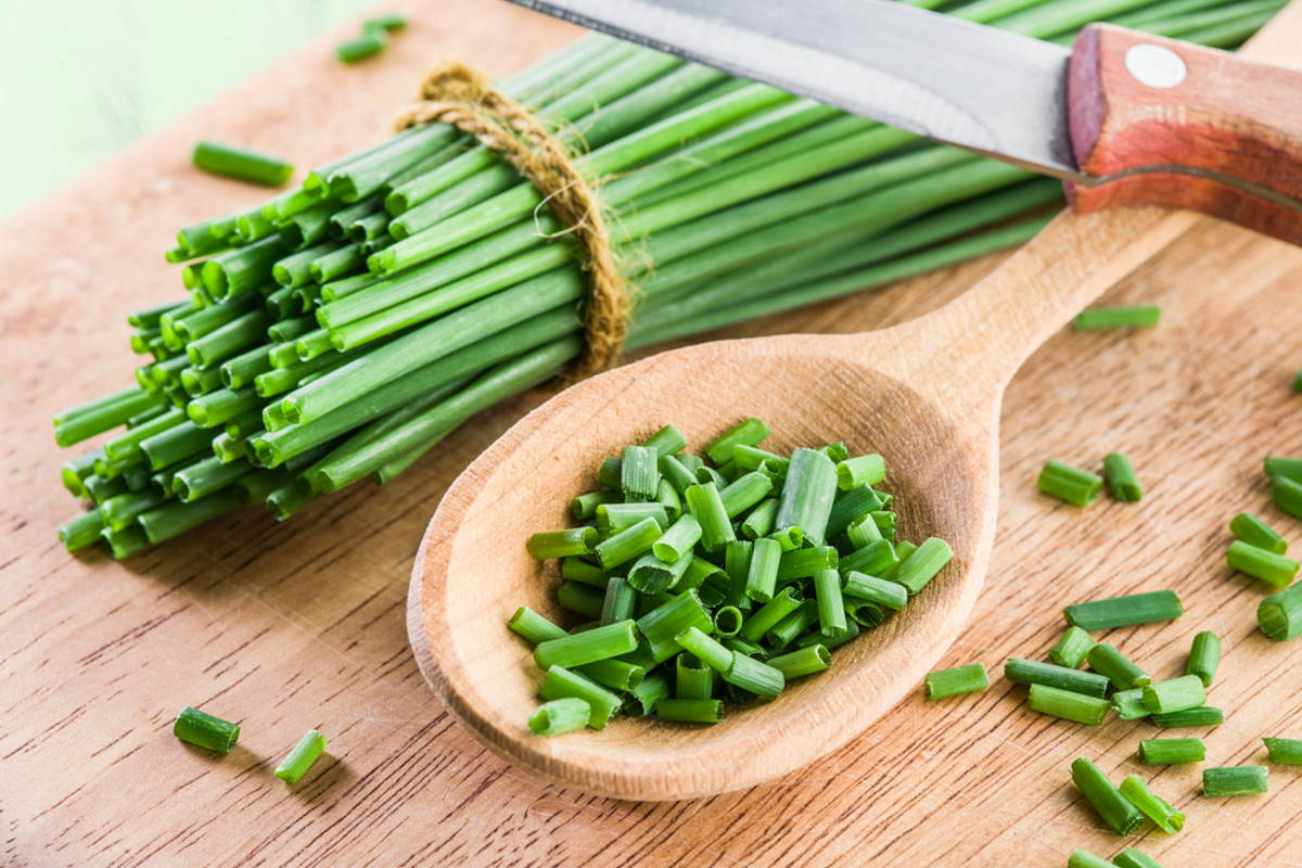 	салат капуста белокочанная кукуруза