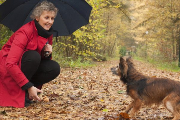 Middle aged woman in the autumn forest with her dog
