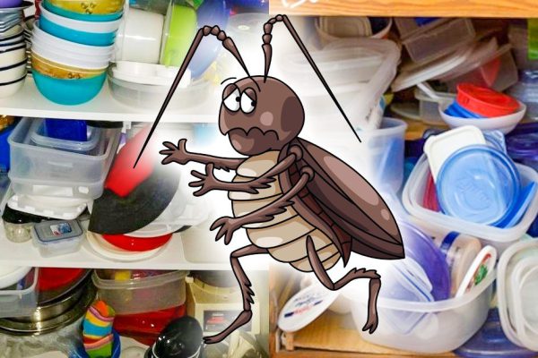 Побежденные тараканы удалились в соседний корпус общежития, а мы праздновали победу на чистой кухне